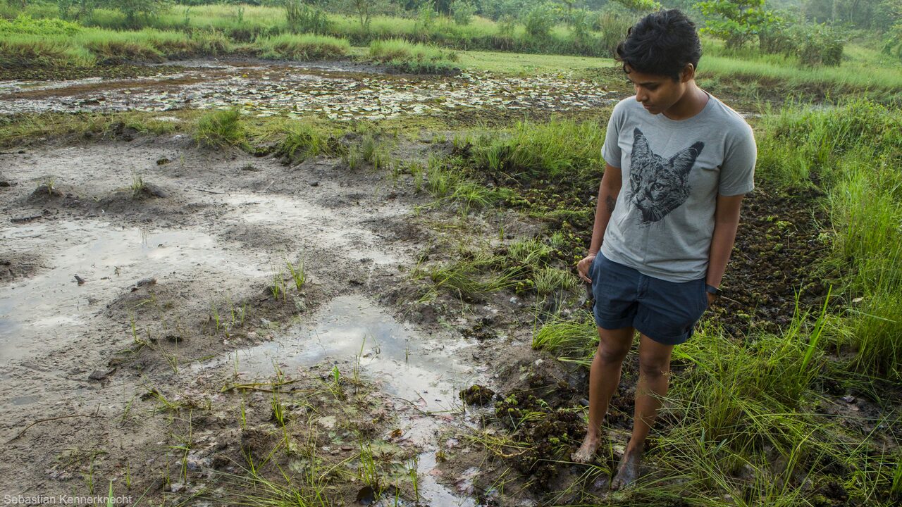 Anya Ratnayaka conducting field research in a wetland